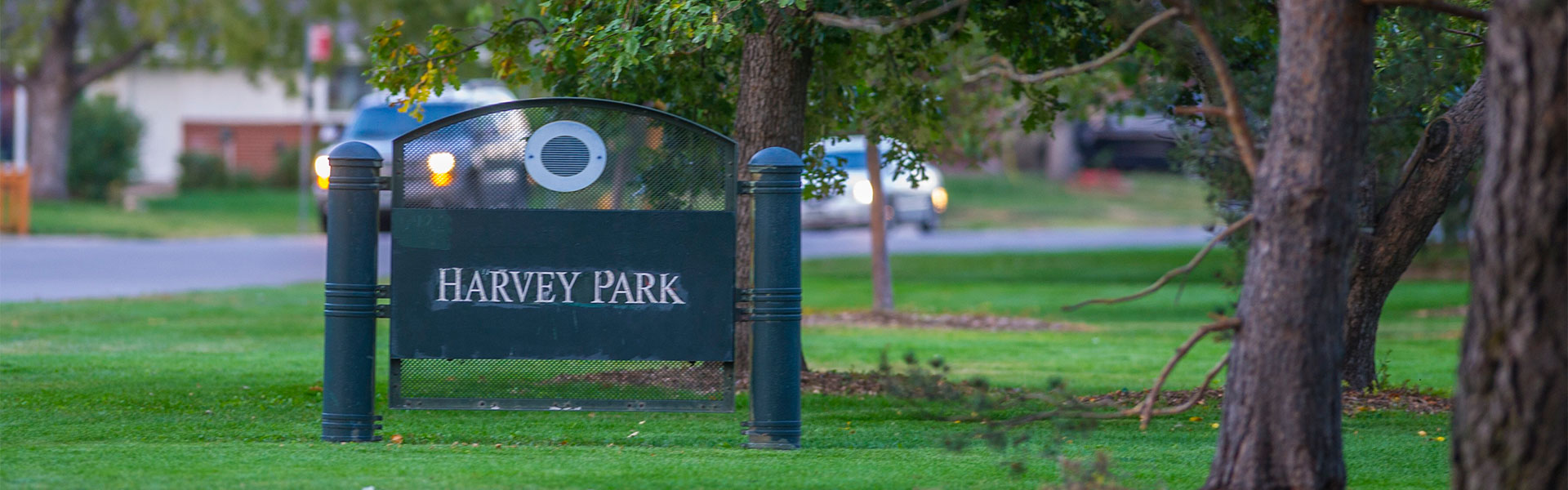 Harvey Park Real Estate Trends, Amenities, Transportation & More