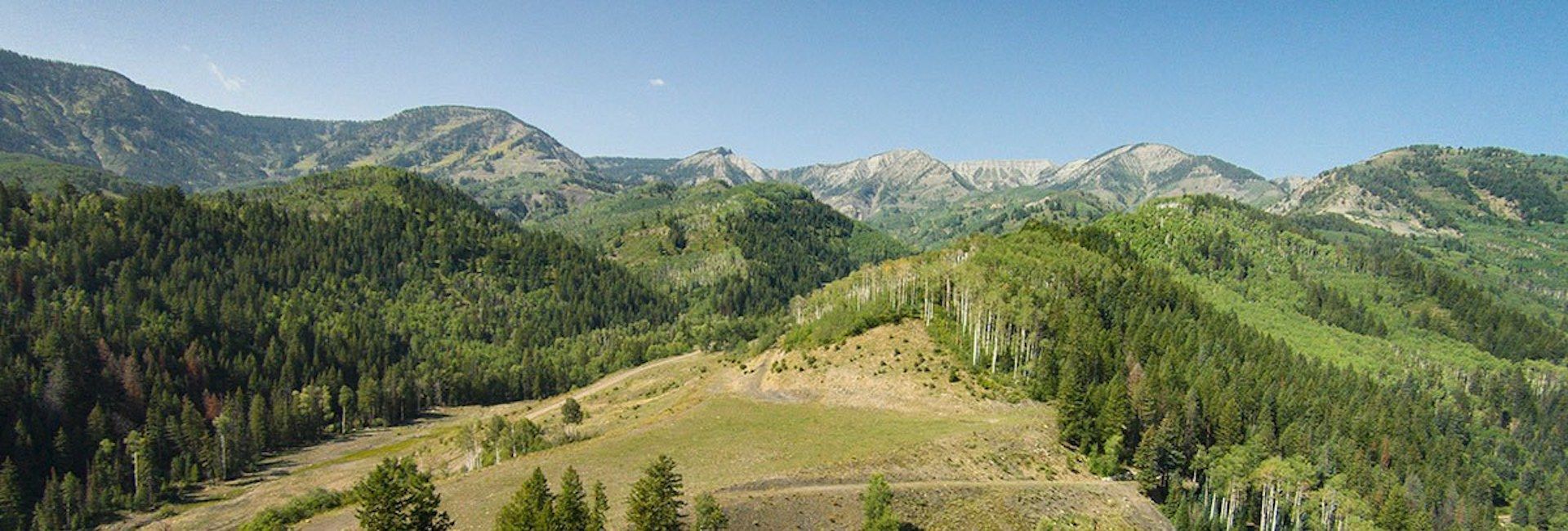 Crystal Valley Neighborhood Guide