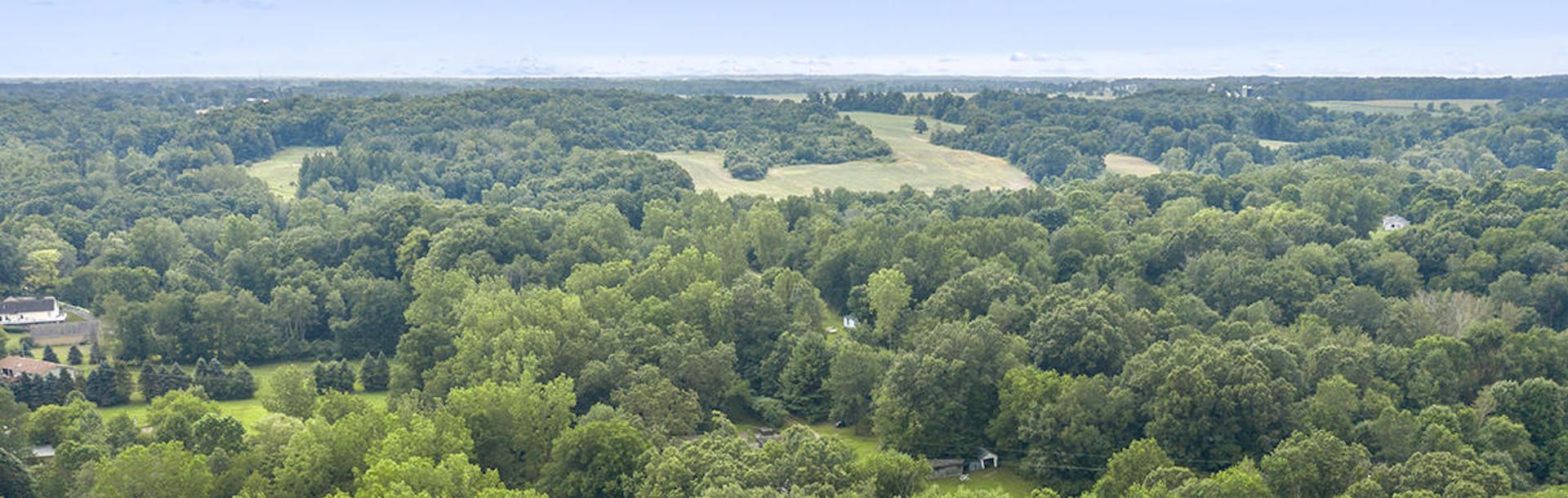 Saranac, Mi Real Estate Overview Greenridge Realty, Inc.