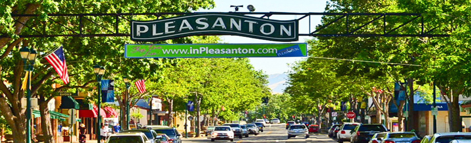 Pleasanton CA Neighborhood Overview Wells & Realtors