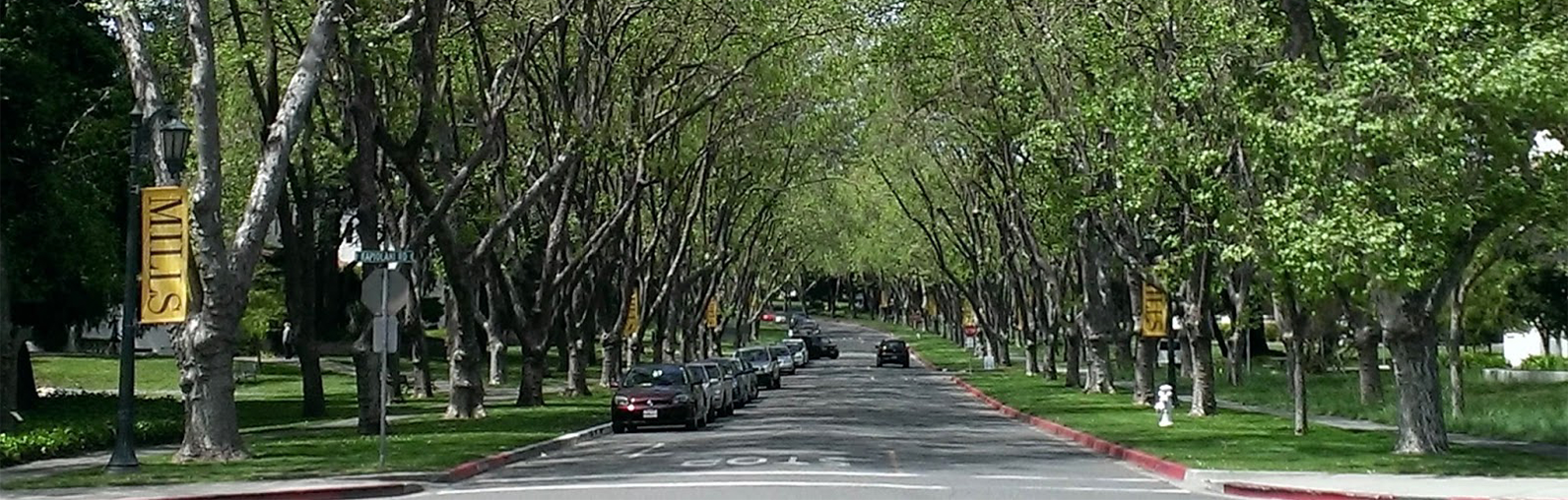 Millsmont CA Neighborhood Overview Wells & Realtors