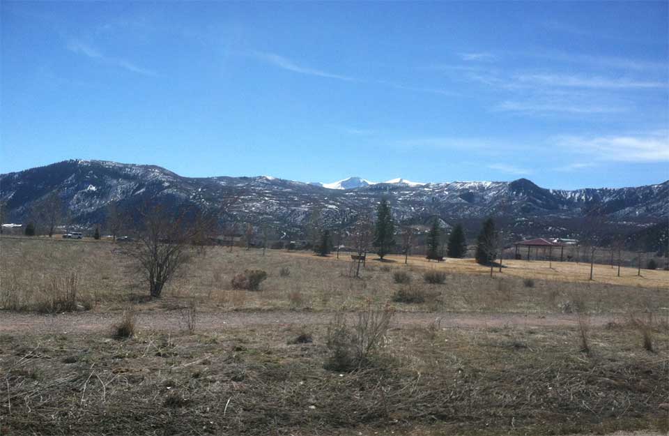 El Jebel Real Estate Trends Coldwell Banker Mason Morse