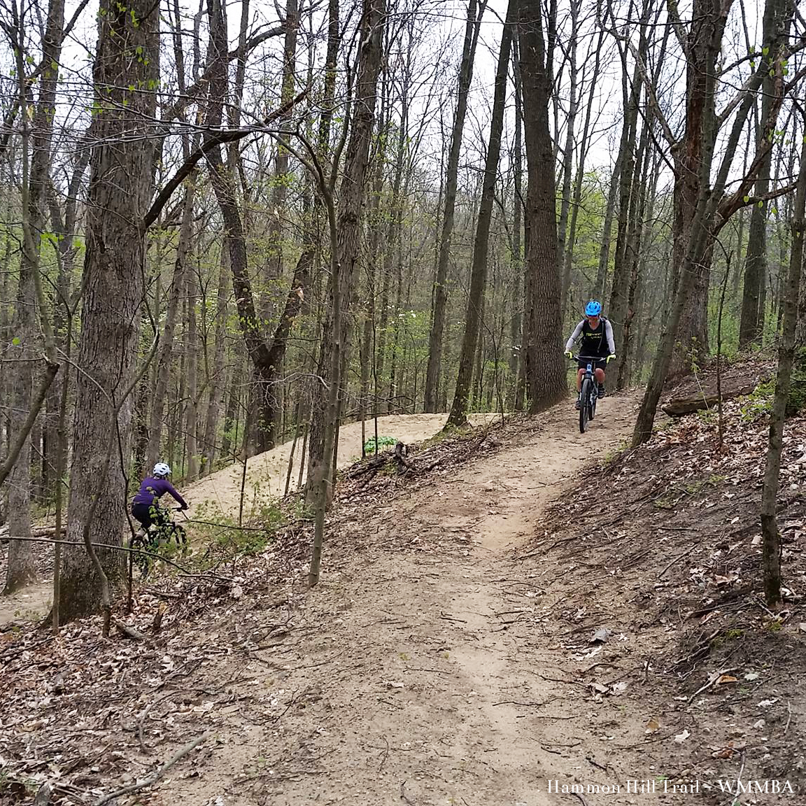 Hastings Real Estate Area Info Jaqua Realtors