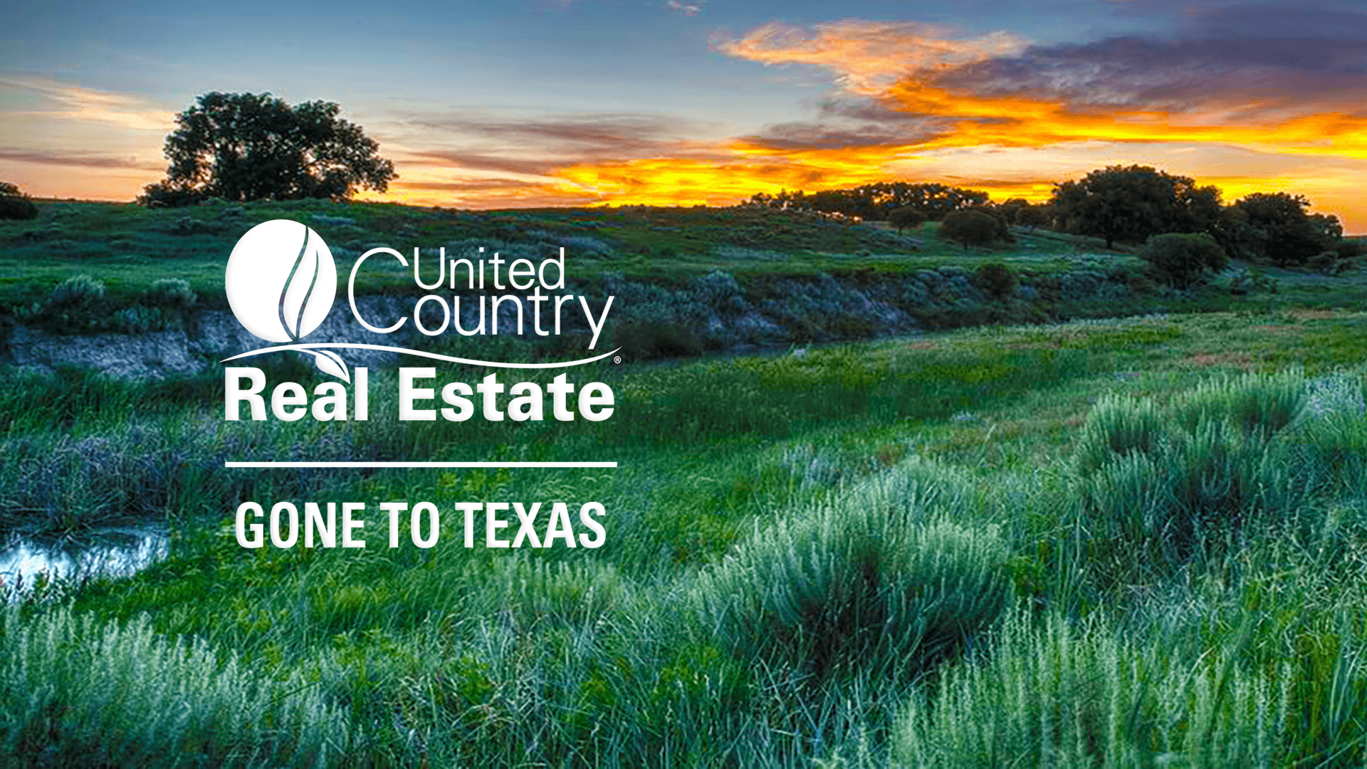 TX Office & Realtors Gone To Texas Realty