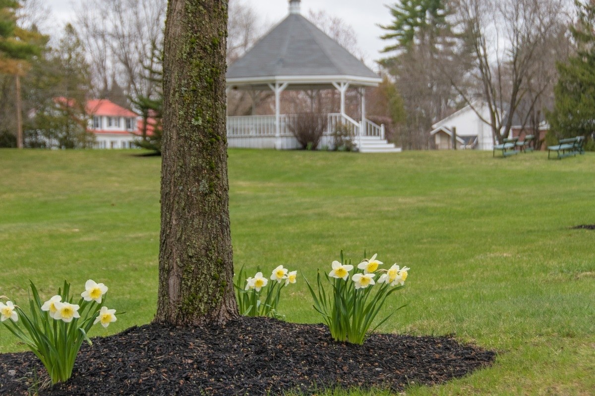 Fryeburg Maine Real Estate Fryeburg Information Maine