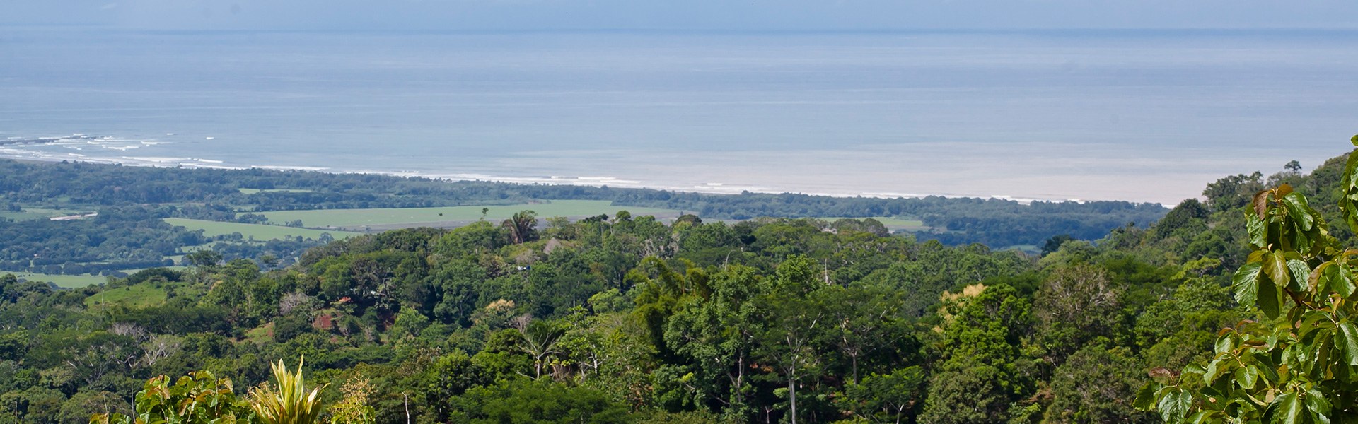 Costa Rica Farms For Sale Find farms for sale in Costa Rica