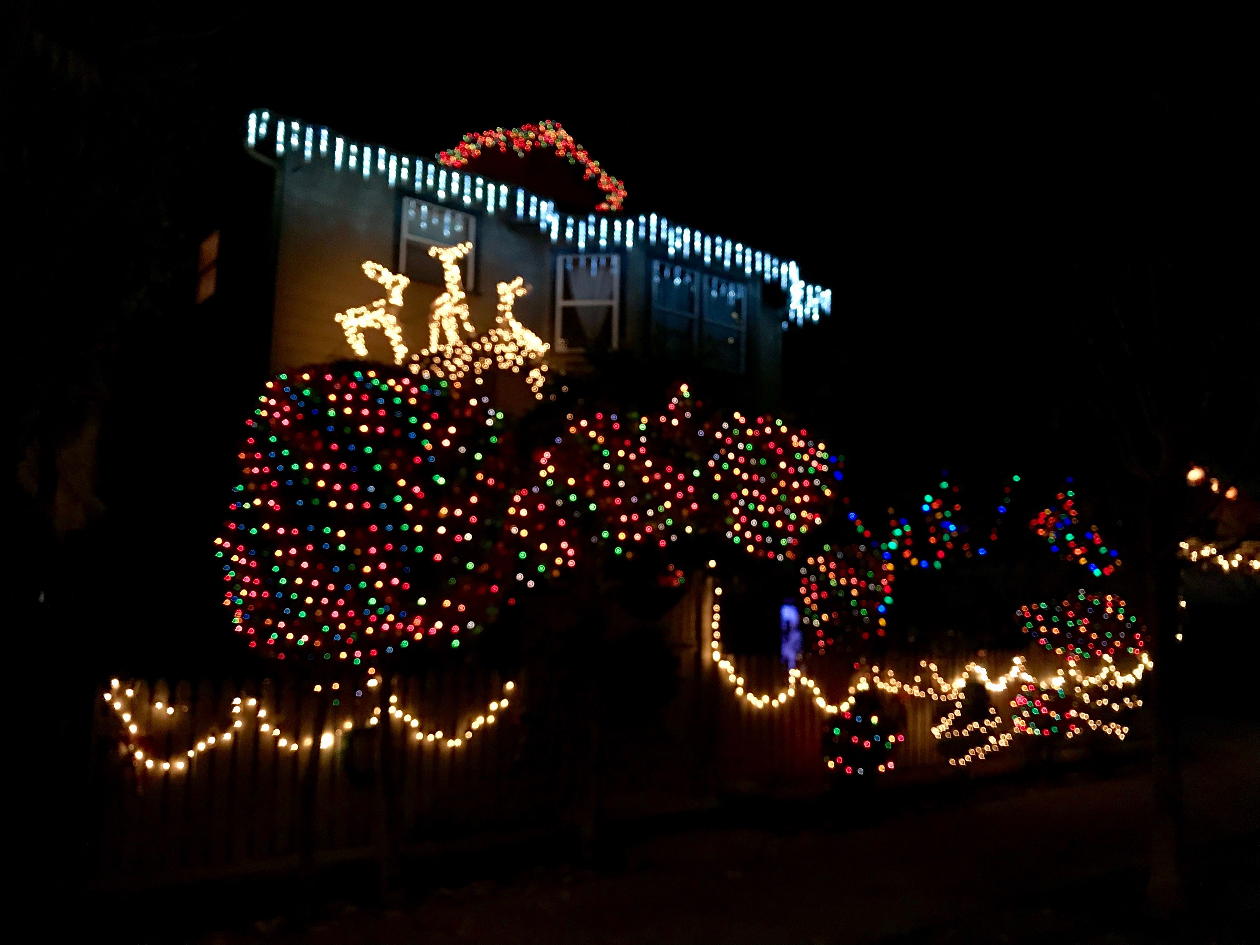 South Berkeley Holiday Lights