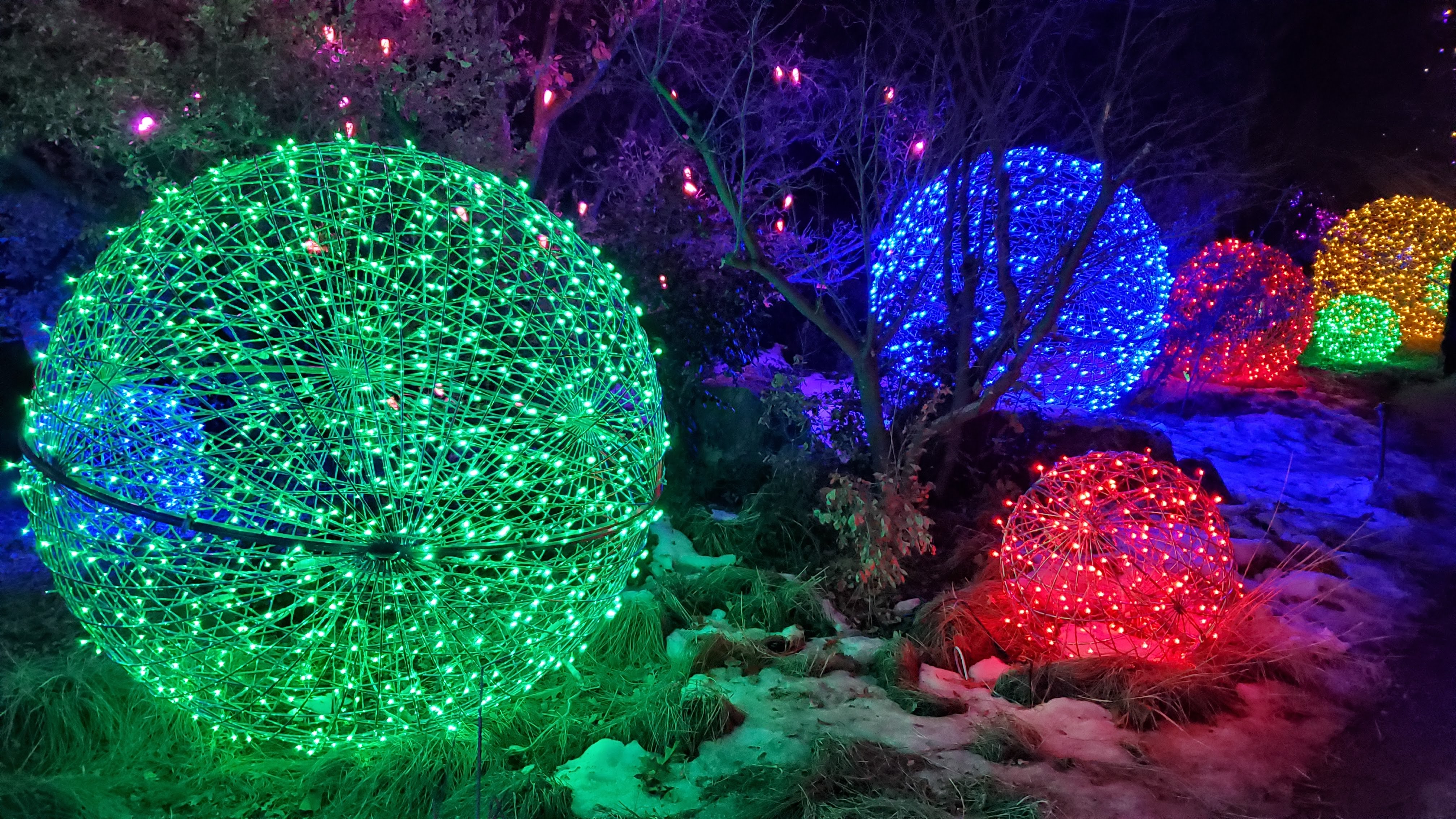Denver's Best Holiday Lights Dwelling at the MileHigh Line