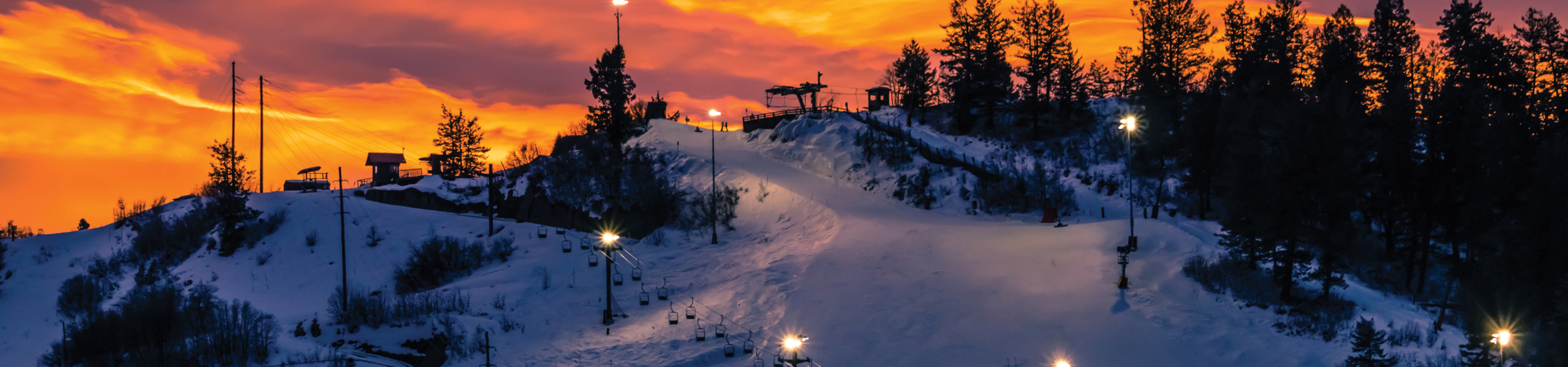 This Winter, Protect Yourself: The Ultimate Winter Strain Guide - 8aridv6