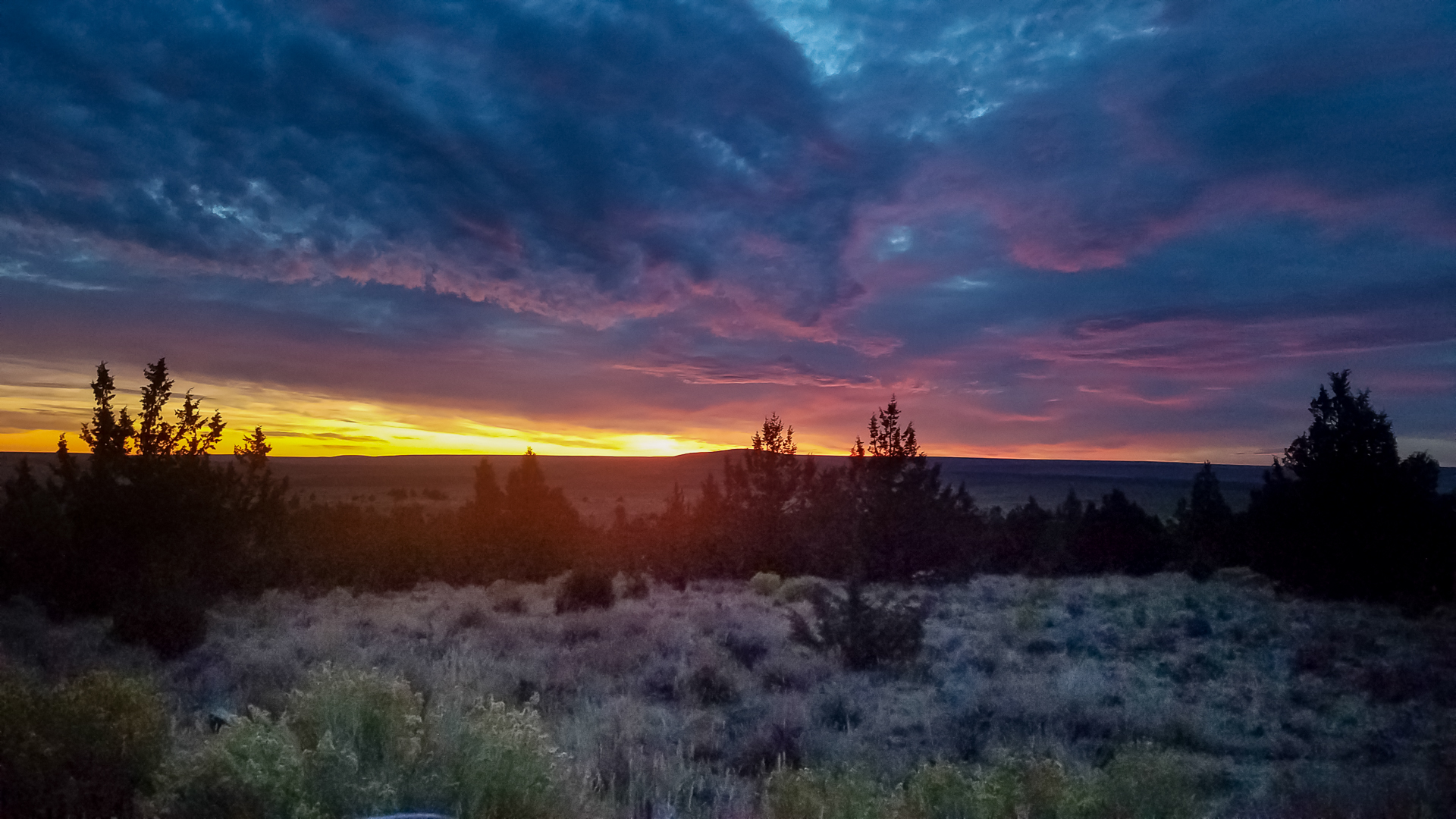 Douglas County Real Estate Market Trends for May 2023