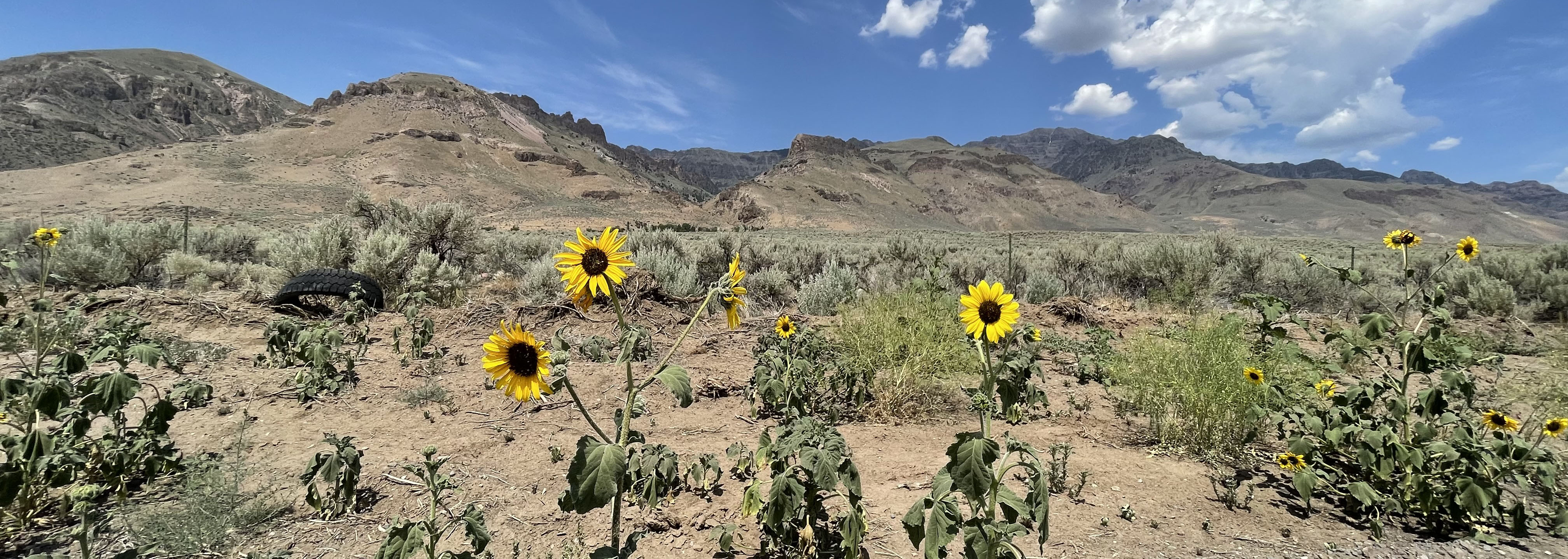 Douglas County Real Estate Market Trends for August 2023