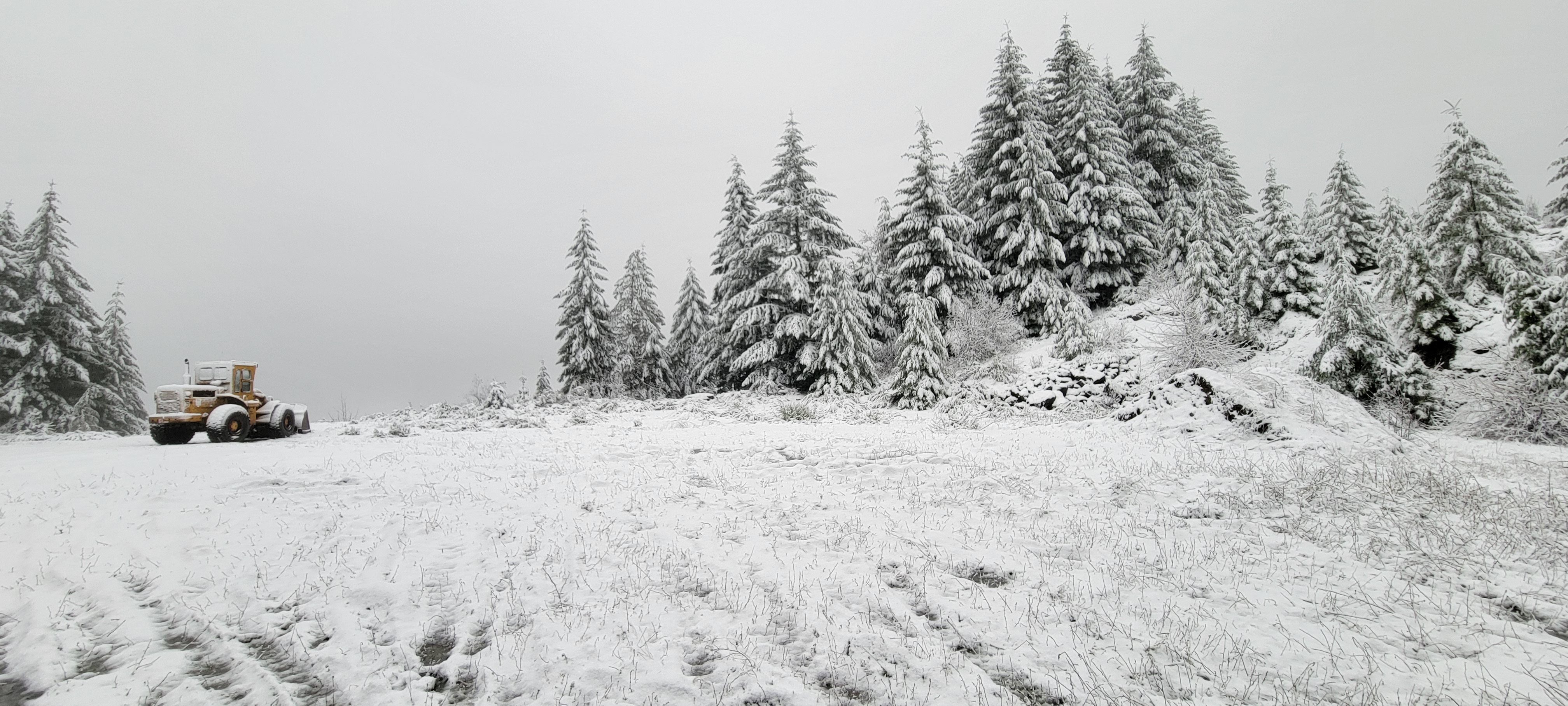 Douglas County Real Estate Market Trends for 2023