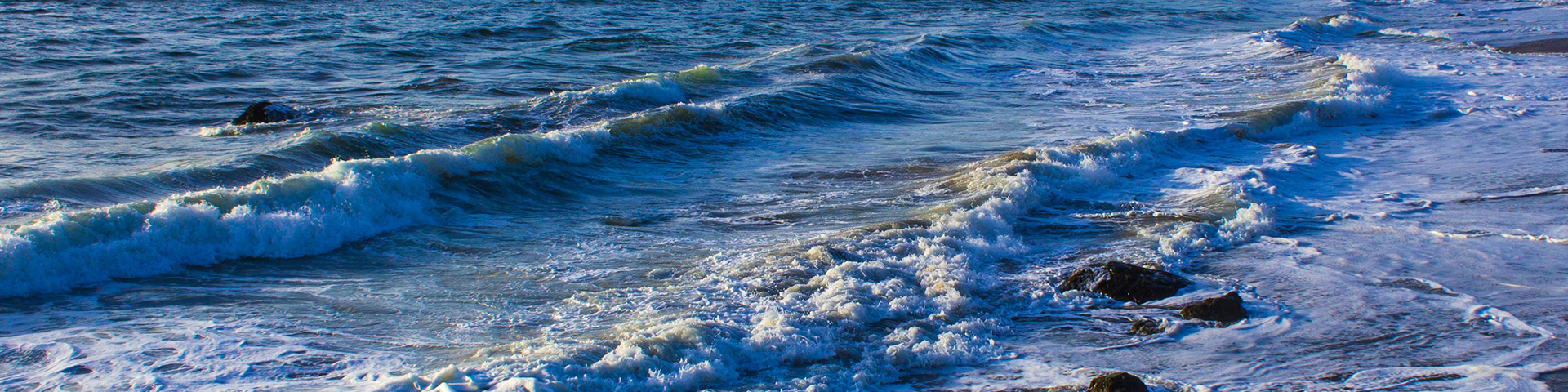 A RISING TIDE: A look at homelessness in Alameda County