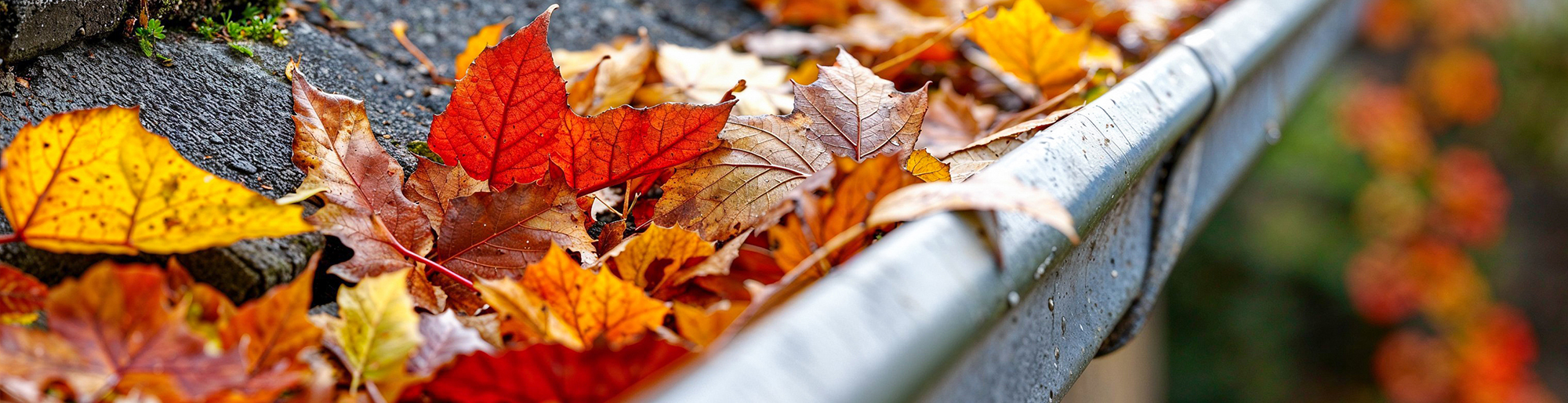 Fall Maintenance for Your East Bay Home