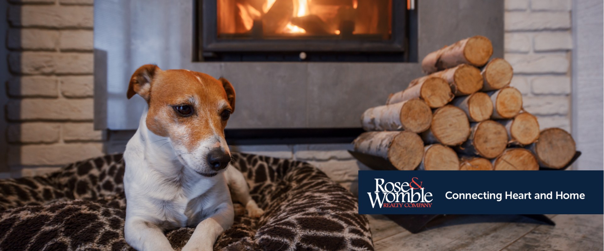 Local Real Estate Company Real Estate Professionals & Services Rose