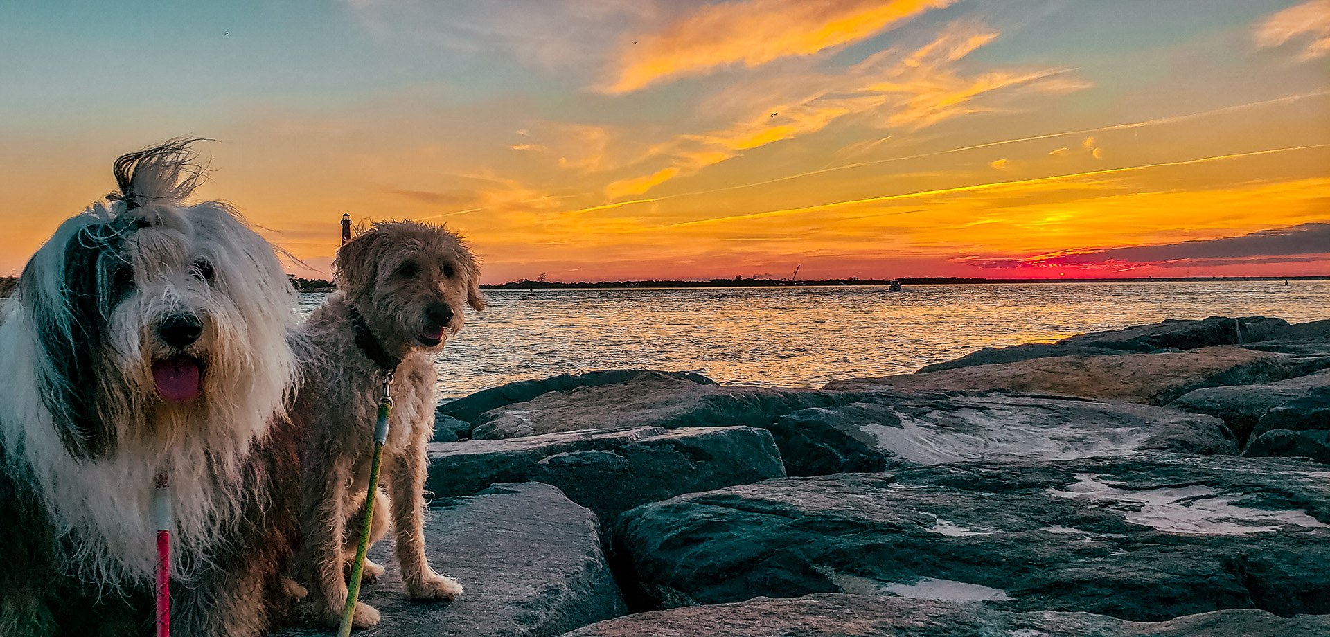 Crossroads Realty Inc.