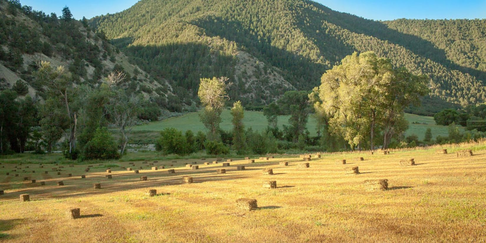 Ranch Aspects Ranch & Land Real Estate in Roaring Fork Valley, CO