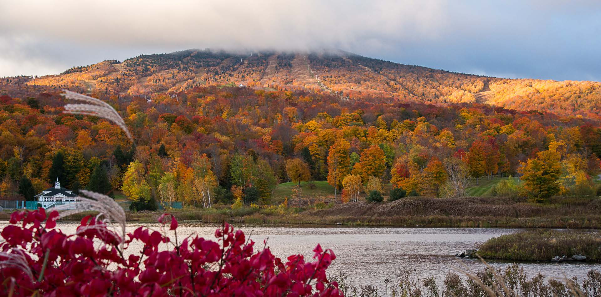 Stratton Real Estate