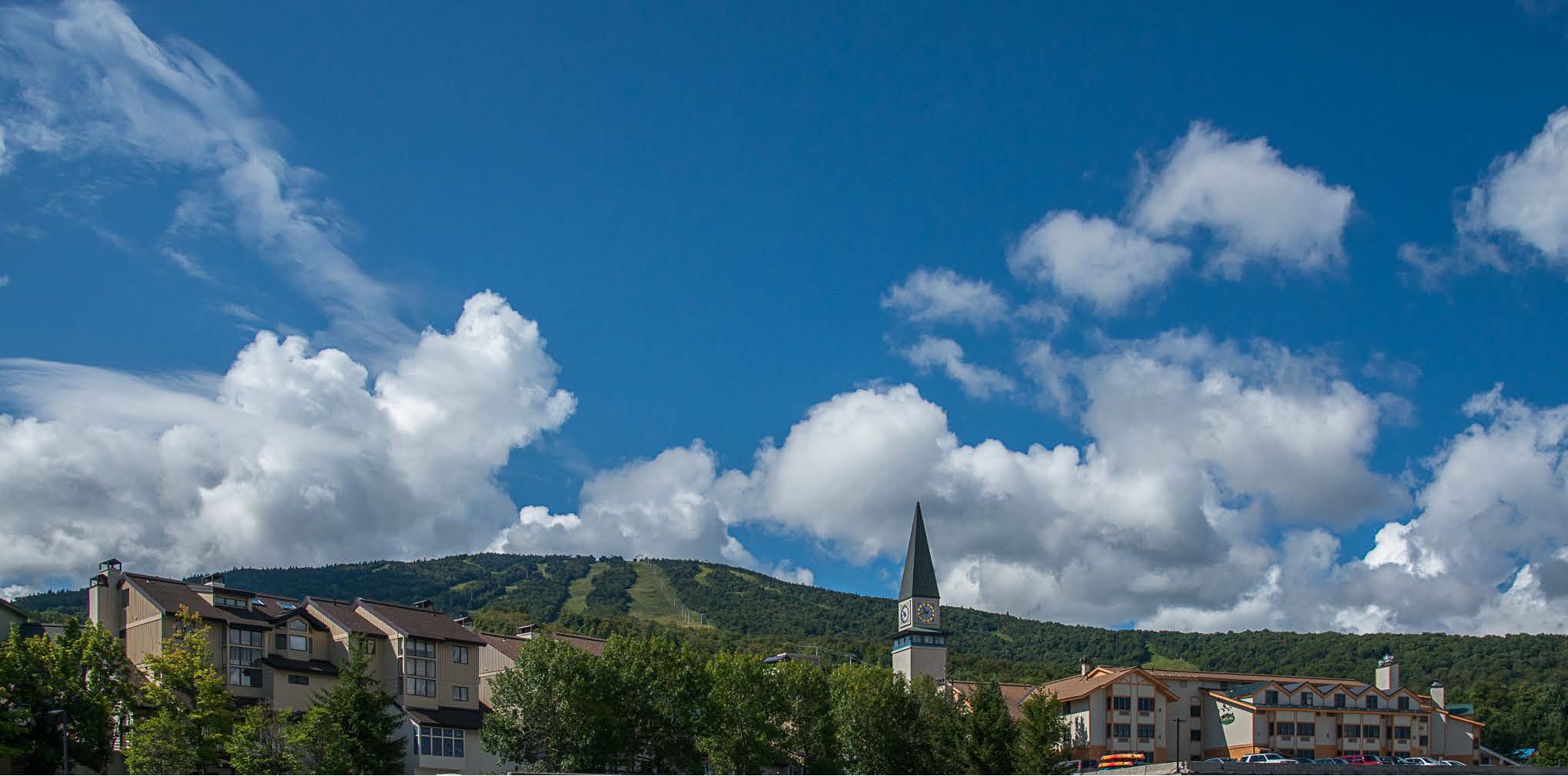 Stratton Real Estate