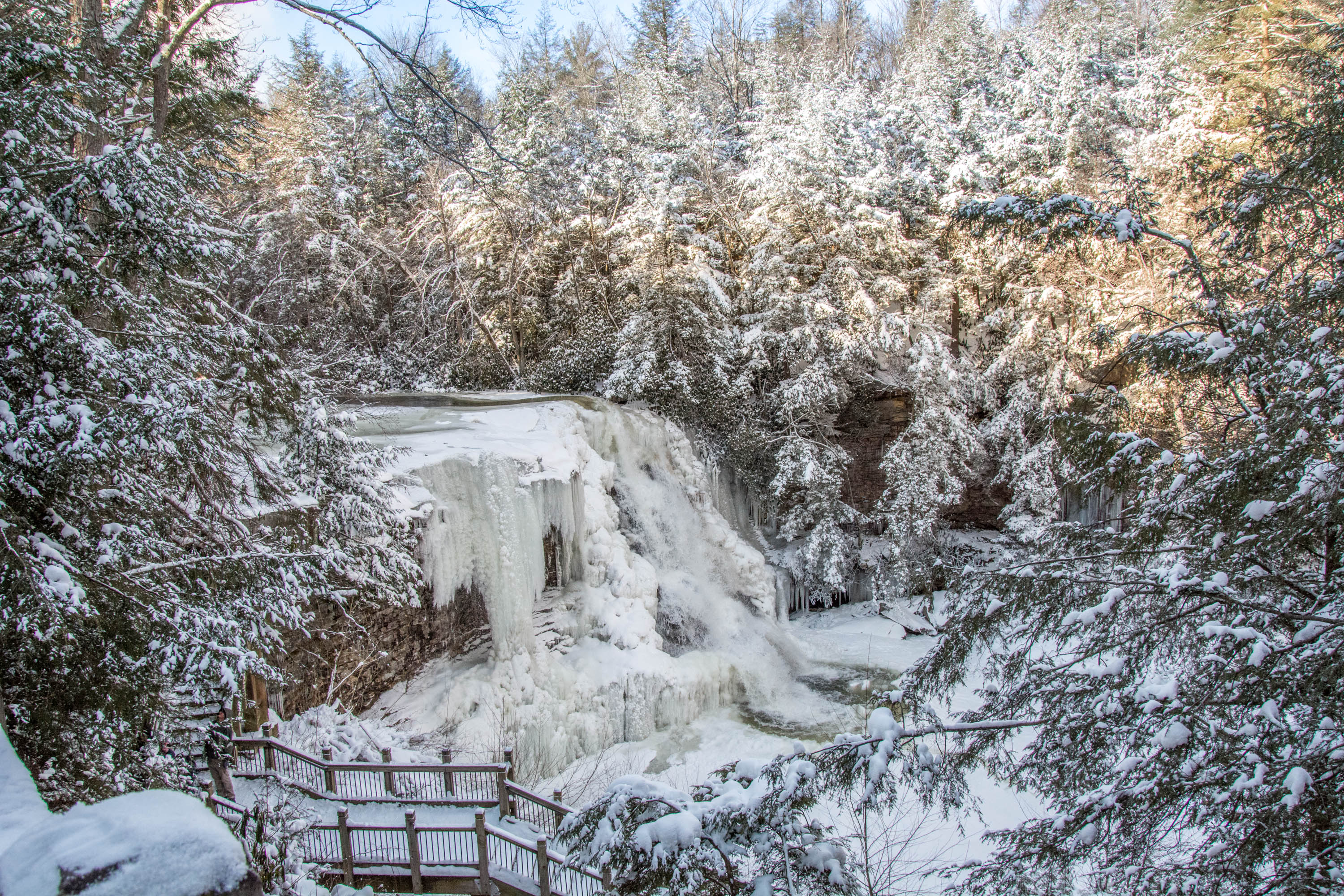 Winter at Swallow Falls State Park