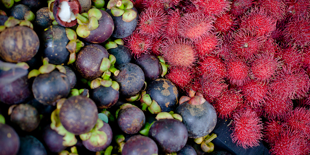 food-culture-costa-rica