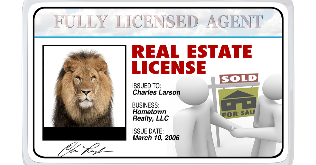 california department of real estate license lookup