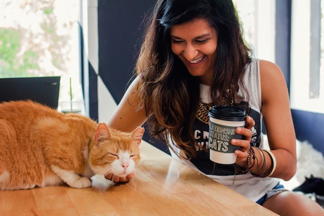L.A’s FirstEver Cat Cafe is Coming to Melrose Ave