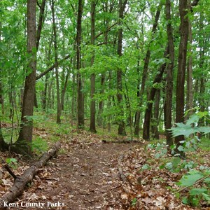 Grand Rapids Parks And Rec 