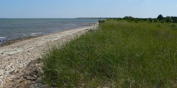 Beach at Demarest Lloyd State Park in Dartmouth, MA