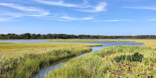 A view of marshes surrounding a waterway and a pond at Allens Pond Wildlife Sanctuary in Westport, MA