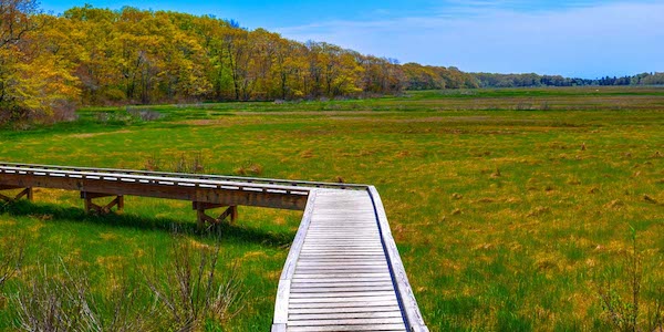 A view of the Boardwalk Trail at Frank Knowles-Little River Reserve in Dartmouth, MA