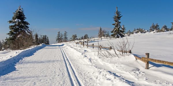 A cross country ski trail bordered by evergreen trees