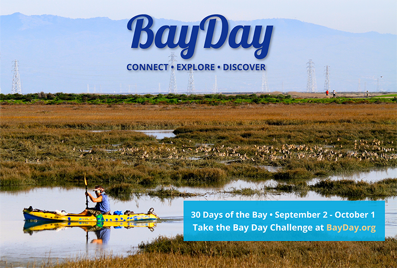 Save the Bay Bay Day Challenge 2022